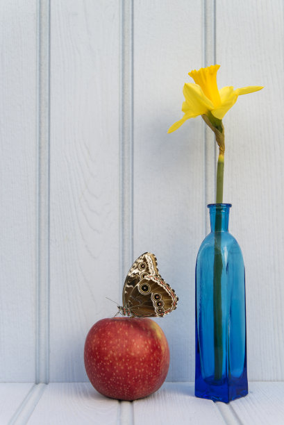 蝴蝶在美丽的春天花静物与木制背景和家居用品图片下载