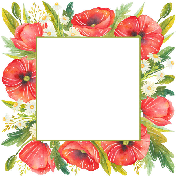 水彩风格的花框。图片下载