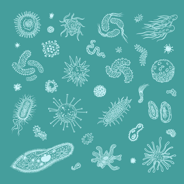 简单的一套细菌病毒图标网页设计图片下载
