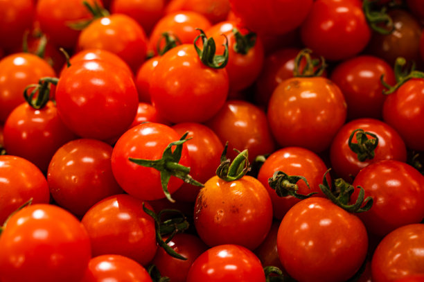 小番茄图片下载