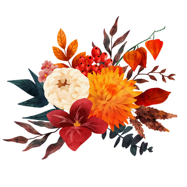 秋花束秋构图艺术图片下载