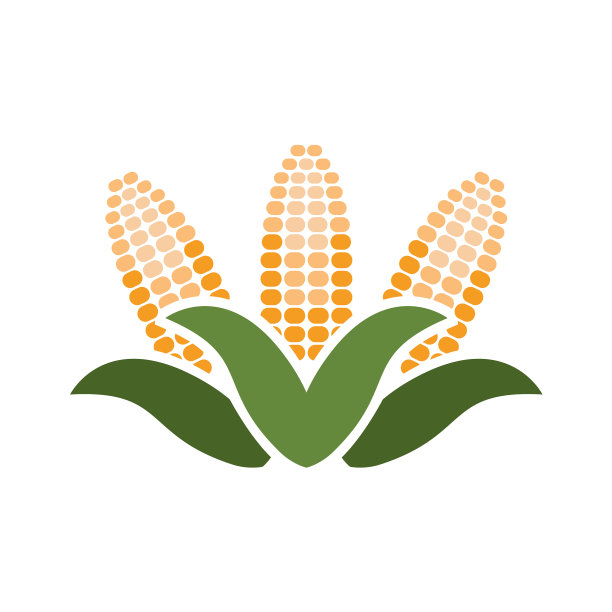 玉米是农业谷物作物图片下载