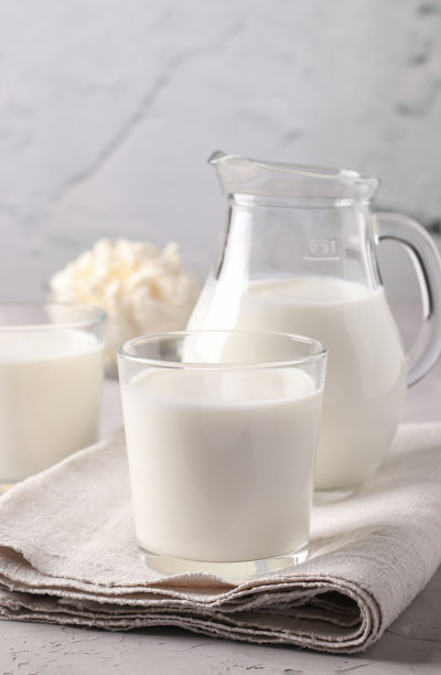 发酵饮料艾兰在玻璃，牛奶在壶和凝乳在碗浅灰色背景，垂直格式图片下载