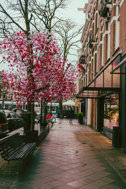 城市里色彩斑斓图片下载