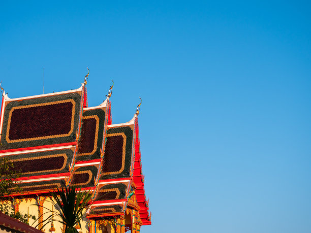 从侧面看是佛教教堂图片下载