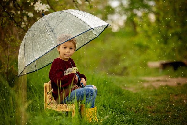 可爱的男孩，带着雨伞和小鸡，在下雨的时候坐在公园的小长椅上图片下载