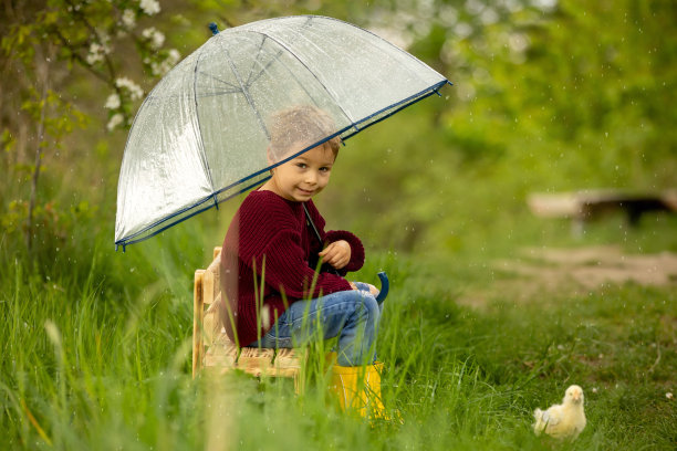 可爱的男孩，带着雨伞和小鸡，在下雨的时候坐在公园的小长椅上图片下载