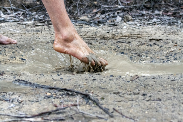 特写赤脚女人走过泥坑，背景与拷贝空间图片下载
