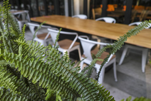 户外会议桌上图片下载