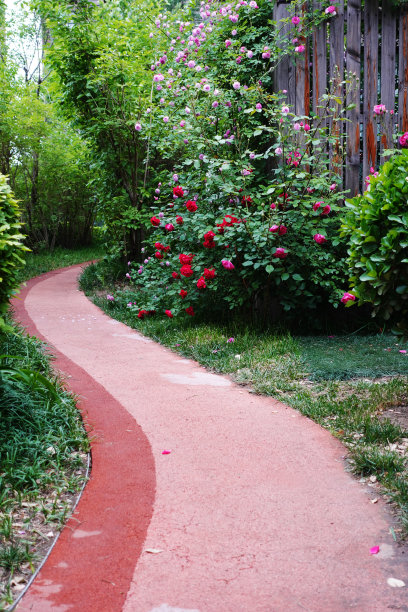 穿过后院图片下载