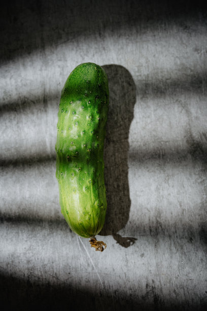 阳光照在黄瓜上图片下载