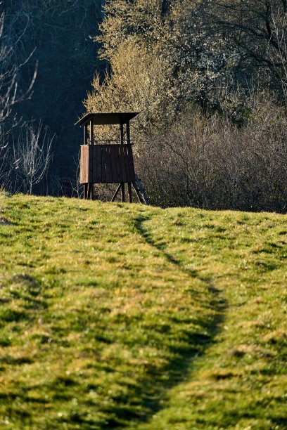 穿过绿色草地通往猎人藏身处的秘密小路图片下载