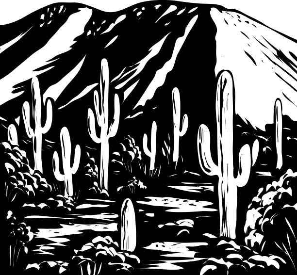 沃森峰位于图森山区图片下载