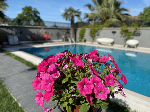 游泳池图片下载