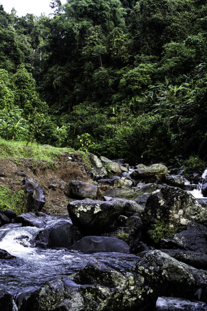 美丽的瀑布在绿色的森林在丛林图片下载