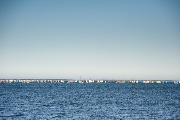 在赛艇比赛期间，水面上有许多白色的帆船图片下载