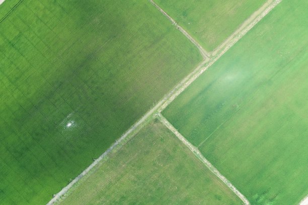 绿色稻田鸟瞰图泰国乡村图片下载