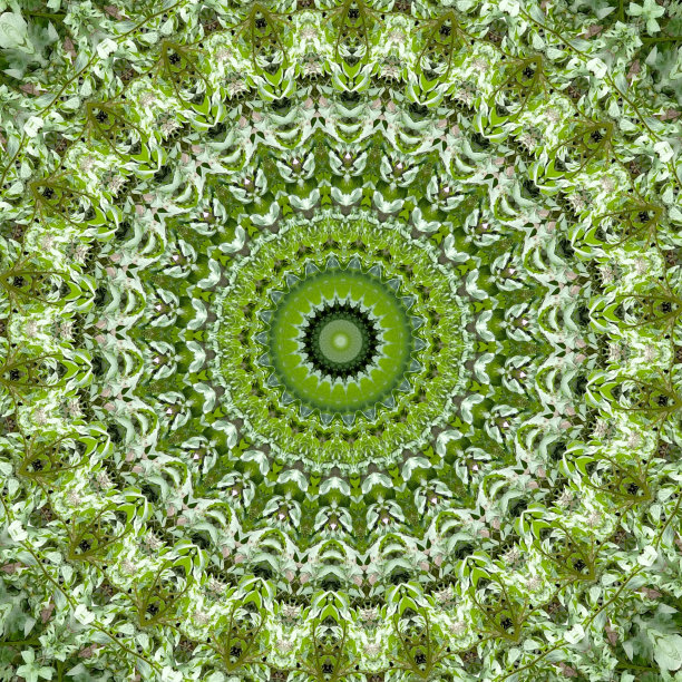 万花筒图片下载