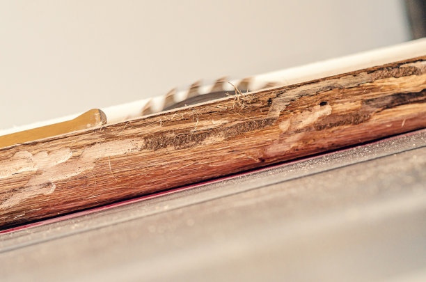 在木工车间用圆锯切割木板图片下载