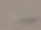 阿拉伯蟾头沙蜥图片下载