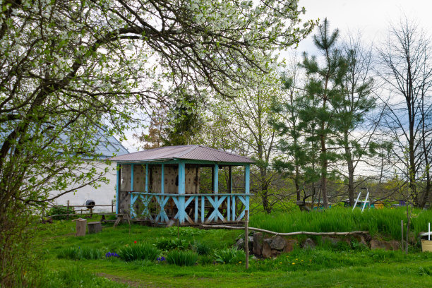白花盛开的李子树下的凉亭。一个在乡村放松的地方图片下载