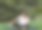 在大自然中，十几岁的男孩在花园或公园户外的瑜伽垫上盘腿望向一边图片下载