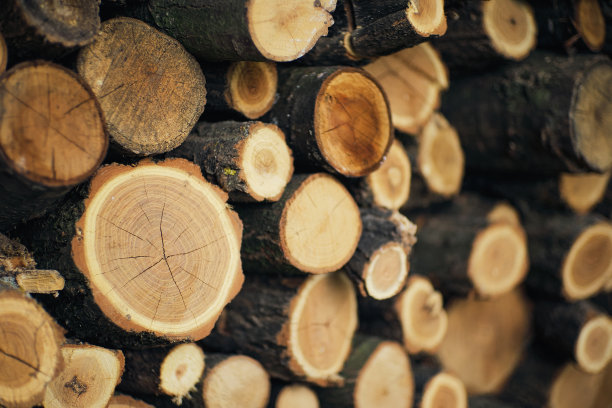 室外堆放柴火，供暖燃料概念图片下载