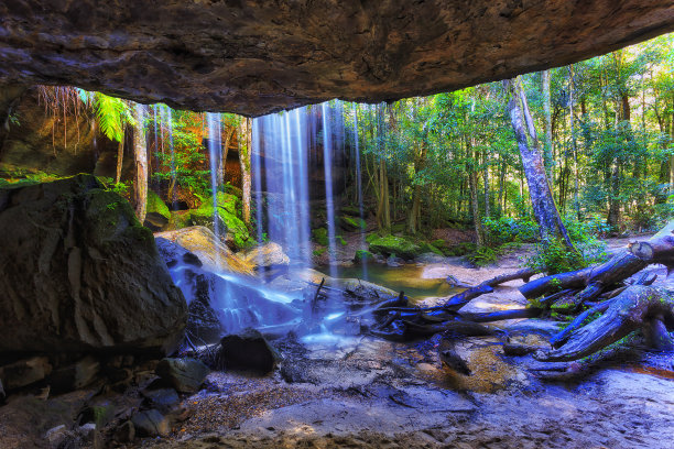 BM奥克兰后撤掩护图片下载