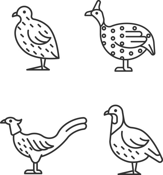 陆禽线性图标集图片下载