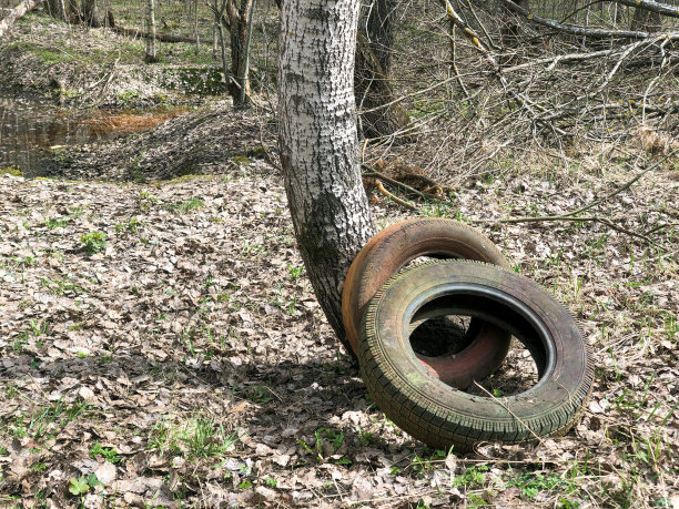 旧汽车轮胎被遗弃在森林里，污染森林，环保理念图片下载