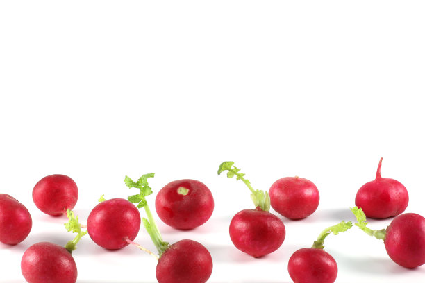 白色背景上的新鲜红萝卜。水平图像有复制空间。图片下载