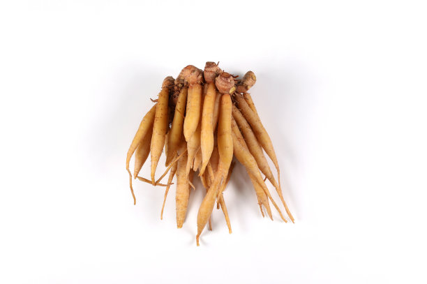 手指根山柰，克拉恰孤立在白色背景。图片下载