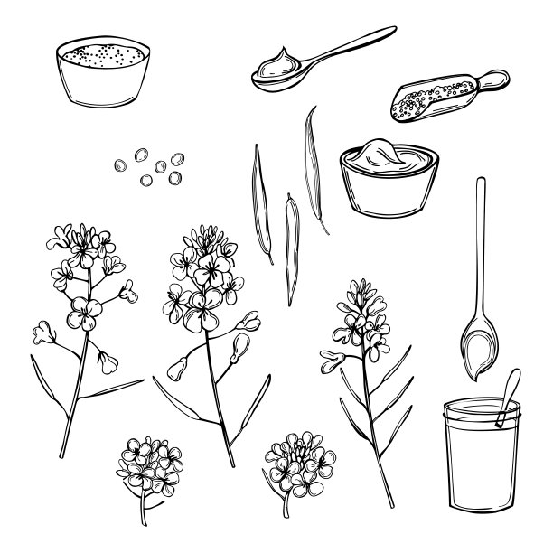 芥末。示意图说明。图片下载