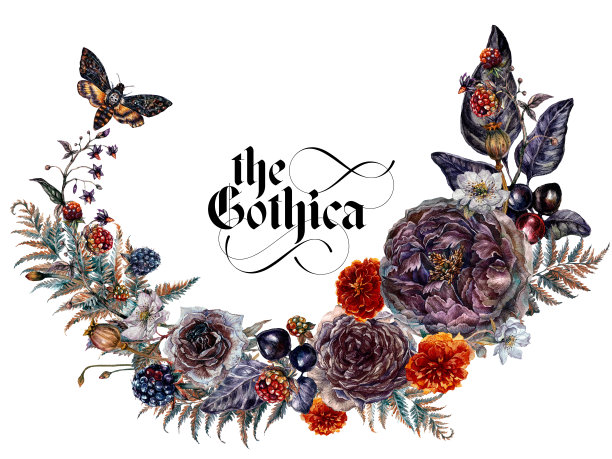 水彩花卉哥特式安排孤立在白色背景。图片下载