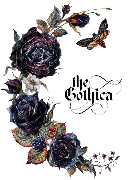 水彩花卉哥特式安排孤立在白色背景。图片下载