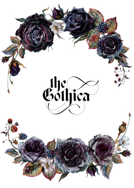 水彩花卉哥特式安排孤立在白色背景。图片下载