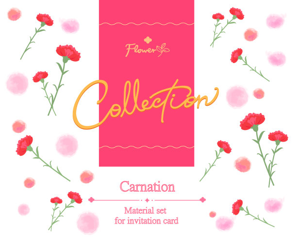 平风格康乃馨背景图案。用于请柬，贺卡，无缝图案图片下载