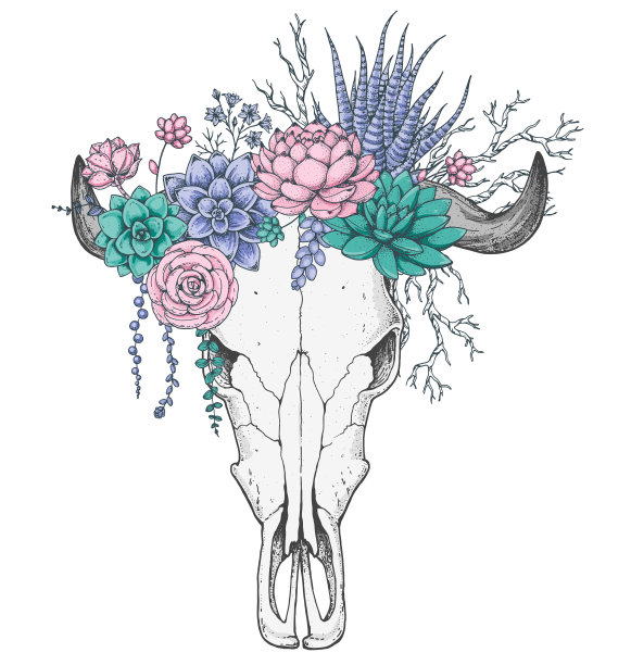 水牛头骨和鲜花手绘插图。蛮荒的美国西部。矢量插图。纹身的打印。水牛头骨和花束。t恤的设计。图片下载