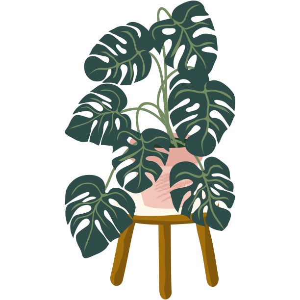 在盆栽矢量室内花盆内的孟特罗植物图片下载