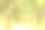 摘要模糊的黄绿色背景。森林里的树叶。的背景图片。图片下载
