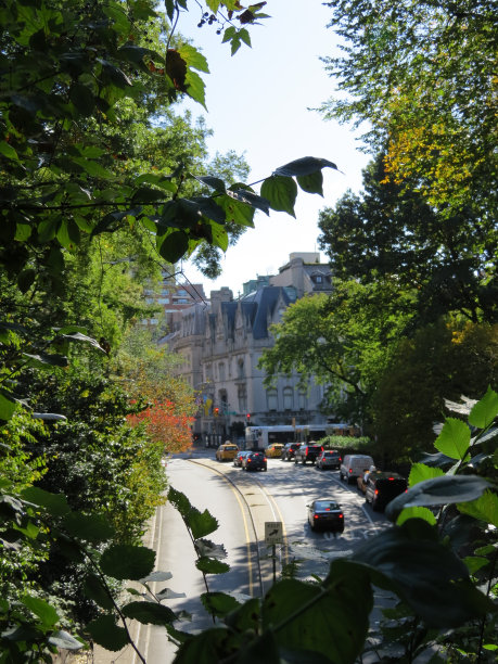 树中的建筑图片下载