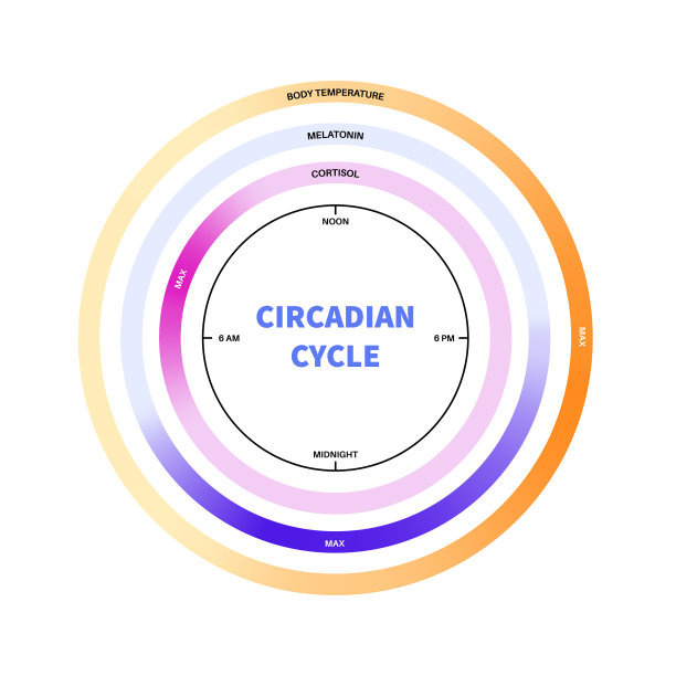 SleepWake周期2图片下载