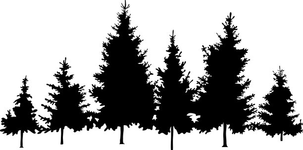 林枞剪影图片下载