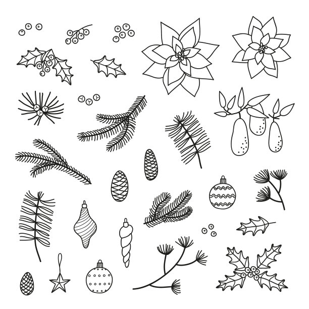 一套手绘针叶树树枝植物玩具图片下载