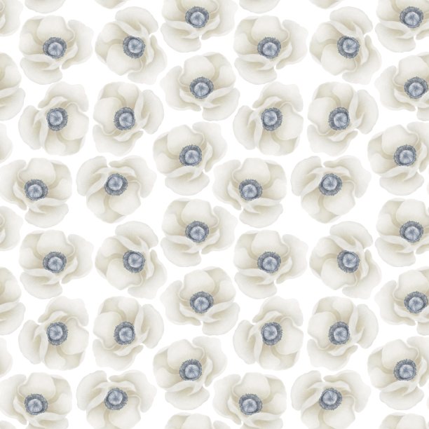 无缝图案的水彩插图海葵花在白色的背景，花卉图案图片下载