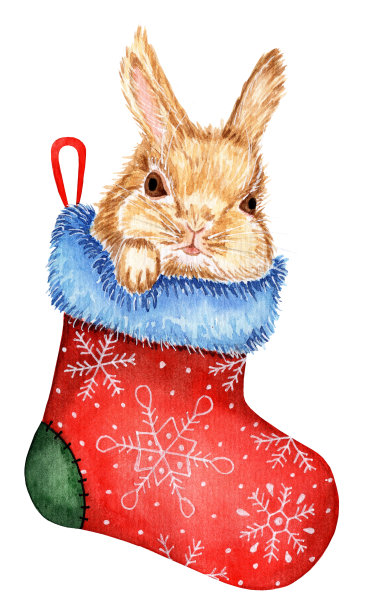 一只可爱的兔子正坐在圣诞袜里图片下载