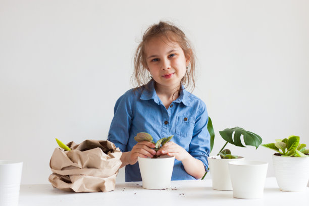 将家养植物移栽到花盆中。图片下载