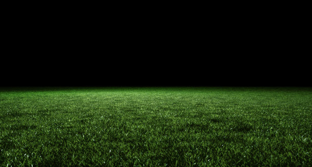 灯光照亮的郁郁葱葱的绿色草坪的低角度视图。模板显示您的产品，黑色背景图片下载