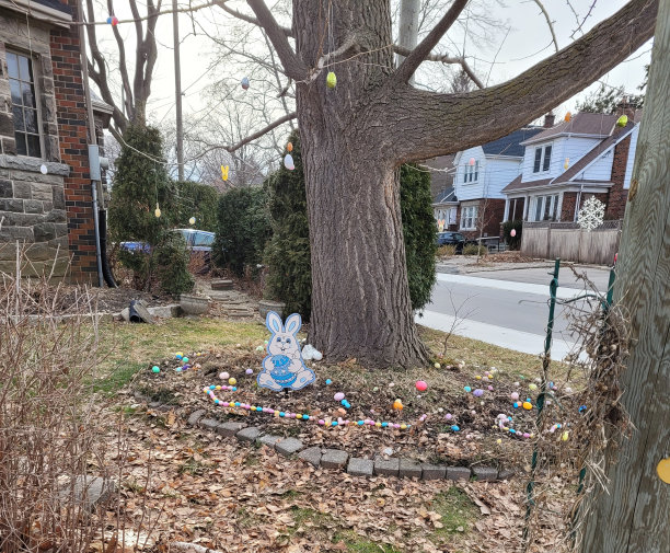 花园蛋图片下载