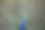 以孔雀为背景，让自己与众不同图片下载